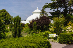 NY Botanic Garden